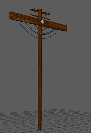 Wood Pole